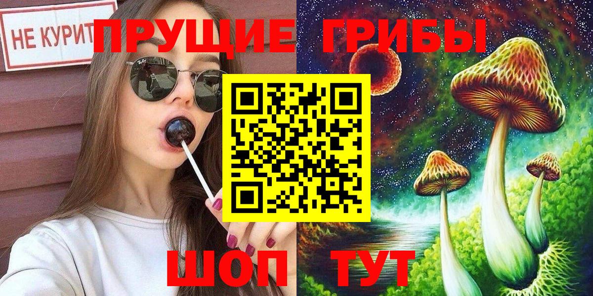 Галлюциногенные грибы Psilocybe Лесозаводск